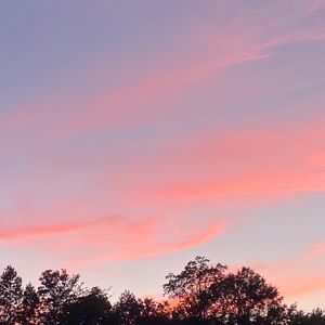 Meet your Posher, Victor